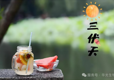 【三伏】夏季养生黄金期，就在这40天！