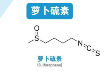 西兰花提取物 ————植物提取 河南华光生物科