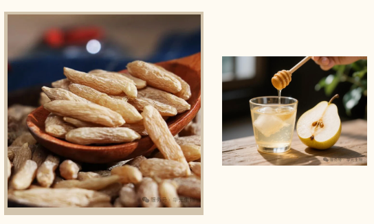 【润燥、防乏、护阳】坦然迎接秋天~ 【润燥、防乏、护阳】坦然迎接秋天~