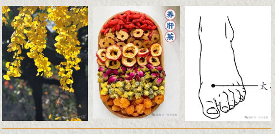 【润燥、防乏、护阳】坦然迎接秋天~ 【润燥、防乏、护阳】坦然迎接秋天~