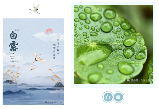 藏在 “水汽凝露” 里的养生 藏在 “水汽凝露” 里的养生