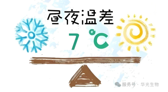 藏在 “水汽凝露” 里的养生 藏在 “水汽凝露” 里的养生