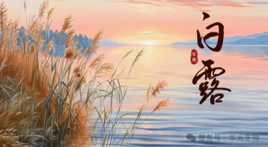 藏在 “水汽凝露” 里的养生 藏在 “水汽凝露” 里的养生