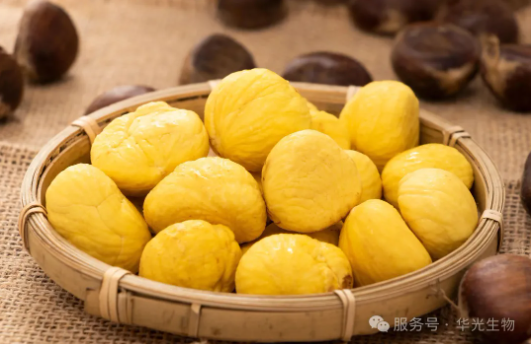 冬季切勿 “猛补”,藏住元气才是真养生 冬季切勿 “猛补”,藏住元气才是真养生