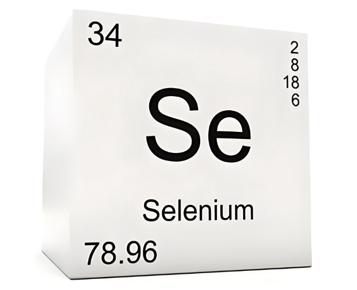 科技赋能药食同源——富硒猴头菇片,守护您的健康 科技赋能药食同源——富硒猴头菇片,守护您的健康