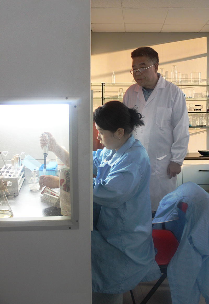 科技赋能药食同源——富硒猴头菇片,守护您的健康 科技赋能药食同源——富硒猴头菇片,守护您的健康