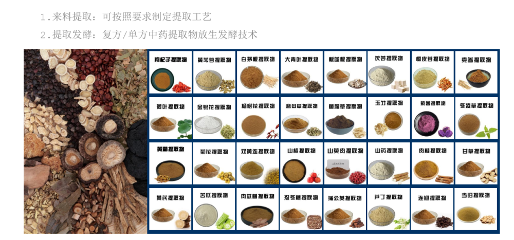 年轻人煲汤、老人补营养,养生食品成生活刚需!这个行业正迎来大变革 年轻人煲汤、老人补营养,养生食品成生活刚需!这个行业正迎来大变革