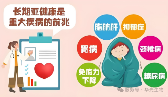 冬季手脚冰凉?是时候吃点养生膏了 冬季手脚冰凉?是时候吃点养生膏了