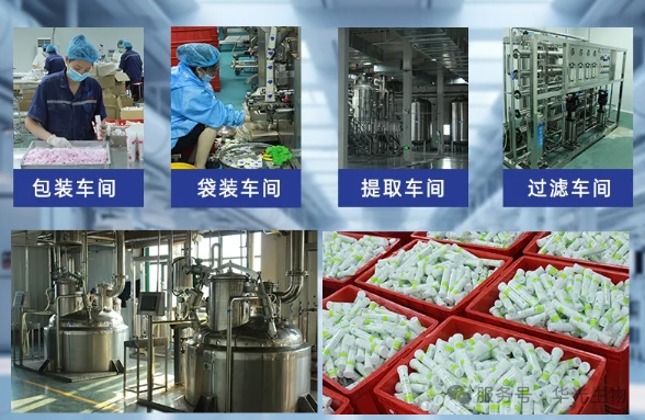 华光匠心:泡腾片里的科学营养 华光匠心:泡腾片里的科学营养