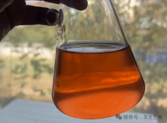 华光匠心:泡腾片里的科学营养 华光匠心:泡腾片里的科学营养