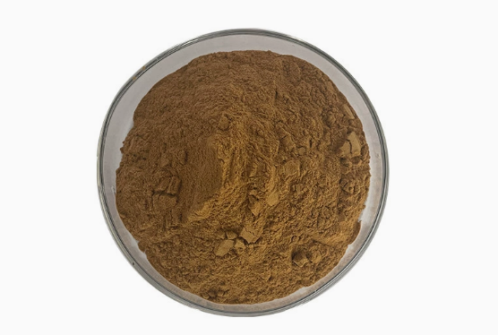 白茅根提取物 白茅根提取物