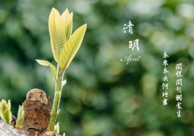 人间清明时，养生重在清润