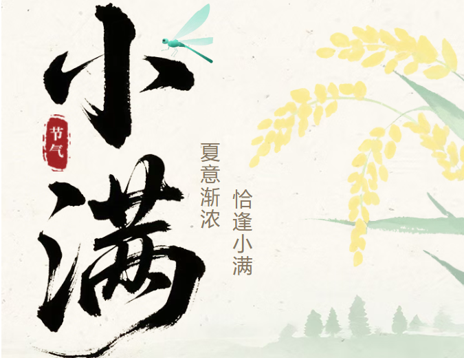 别再乱养生!小满最实用内调方案 别再乱养生!小满最实用内调方案