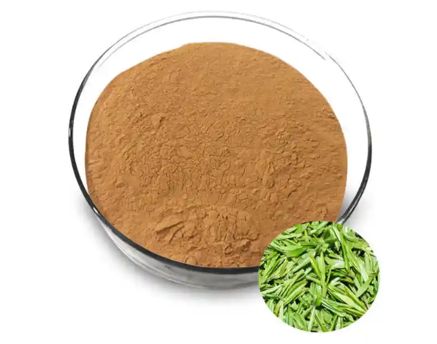 绿茶提取物——天然的经典植物活性原料 绿茶提取物——天然的经典植物活性原料